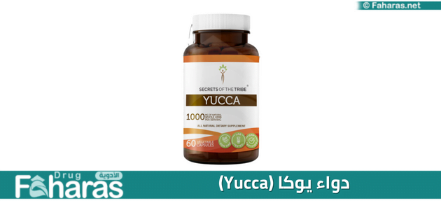 دواء يوكا؛ أهم 8 استعمالات لأقراص Yucca وآثاره الجانبية والجرعة المناسبة