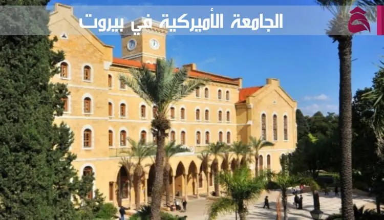الجامعة الأميركية في بيروت؛ كلياتها، تخصصاتها، وشروط القبول فيها