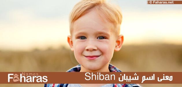 معنى اسم شيبان؛ حكم التسمية به، وأجمل 5 صفات لشخصية حامل اللقب