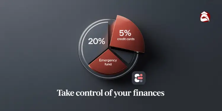 Pie chart with 20% savings split between emergency fund and credit cards