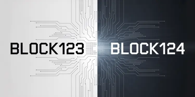Sequential blocks secured by cryptographic hashes