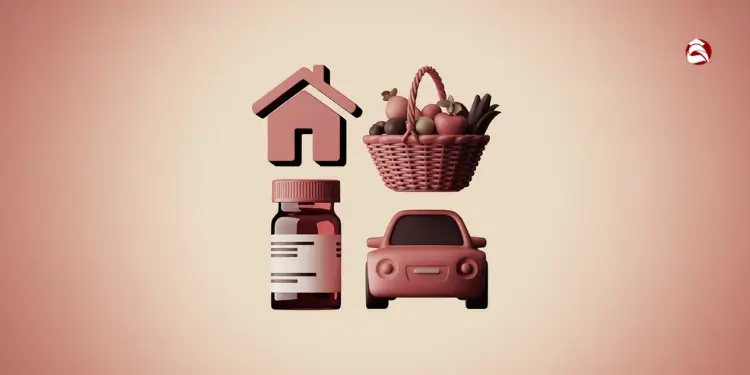 House, grocery bag, medicine, and car icons