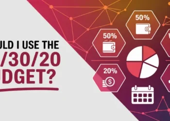 Should I use the 50/30/20 budget visual with icons and pie chart