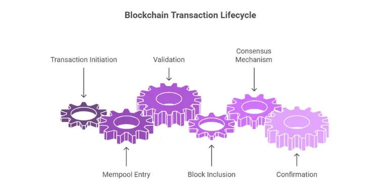 Verifying blockchain steps: mempool entry, validation, block inclusion, consensus, confirmation.