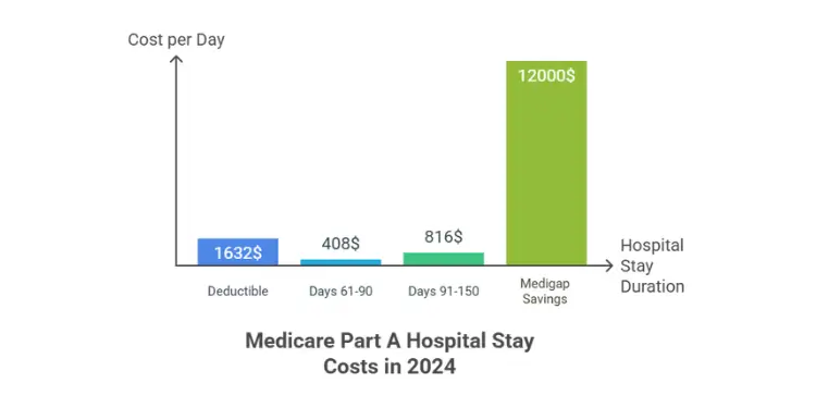 Bar chart showing Medicare Part A hospital stay costs in 2024: deductible, daily charges, and Medigap savings.