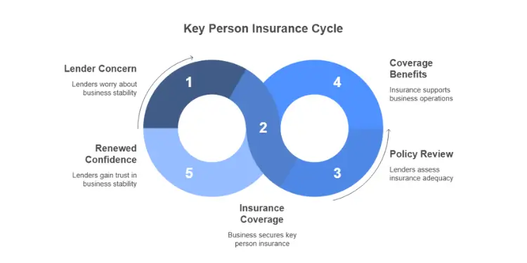 Donut-shaped infographic showing stages of insurance coverage and lender confidence cycle.