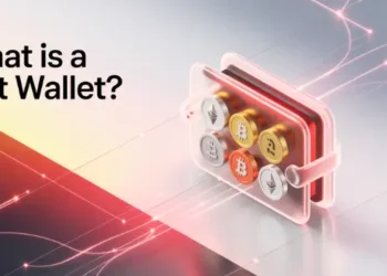 Illustration of What is a hot wallet with various cryptocurrency coins.