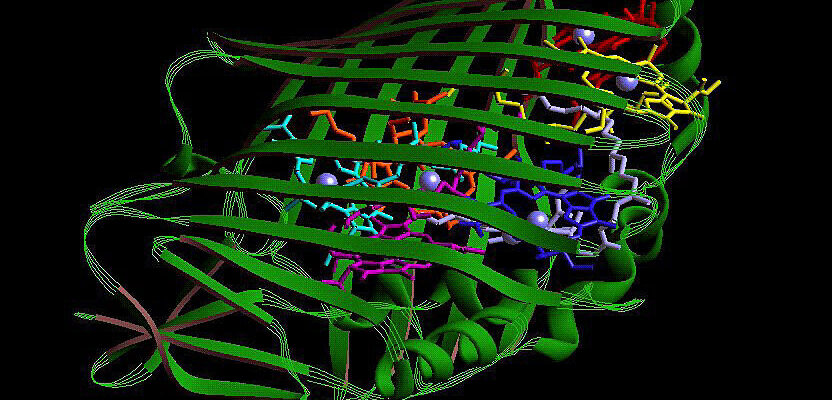 image of a barrel formed by criss-crossing green strands, each representing the path taken by a string of amino acids.