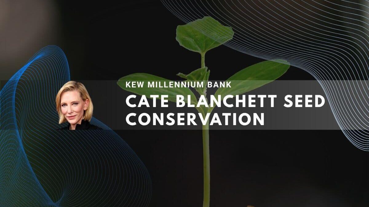 Cate Blanchett's seed conservation with KEW, showing a seedling growing from soil.