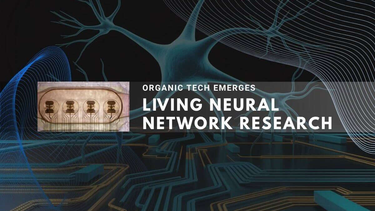 Stylized neuron and microscopic image over a glowing, futuristic circuit board.