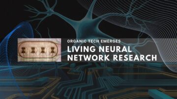 Stylized neuron and microscopic image over a glowing, futuristic circuit board.