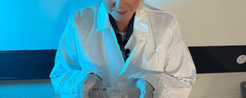 Scientists race to make 'living' computers powered by human cells