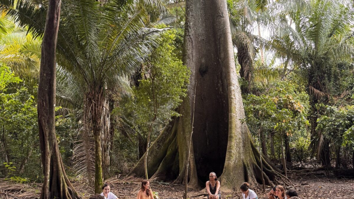 Forest journalists are transforming the storytelling of Amazon news.