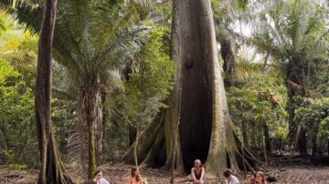 Forest journalists are transforming the storytelling of Amazon news.